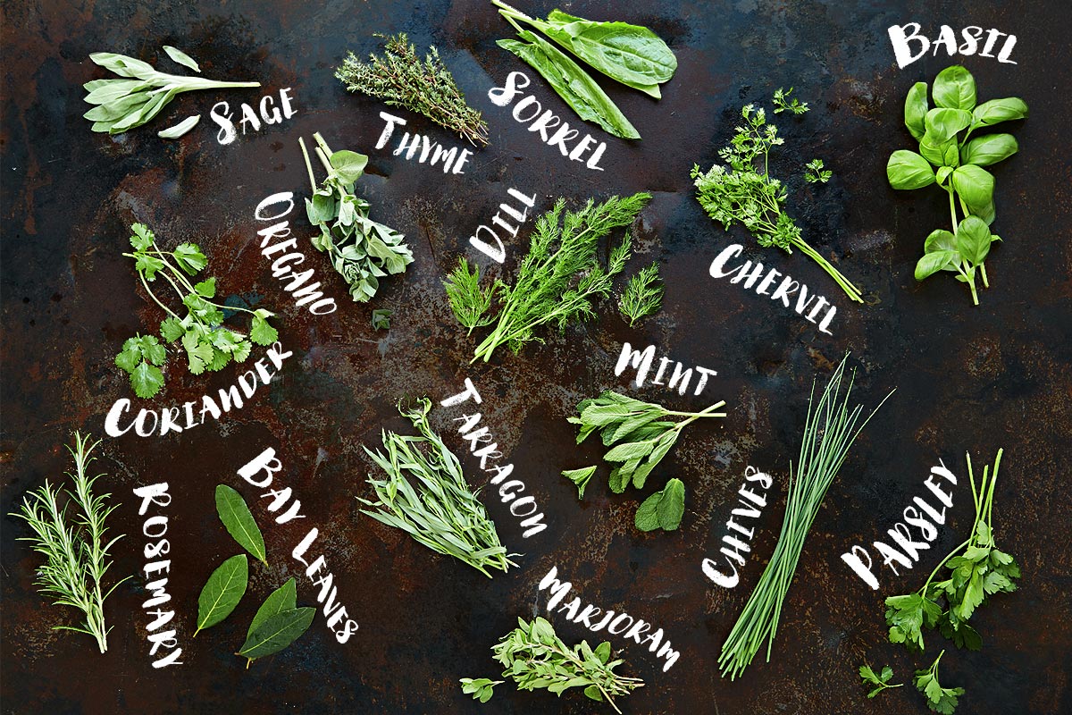 Thyme Piece: The Herb That Makes Cooking More Enjoyable